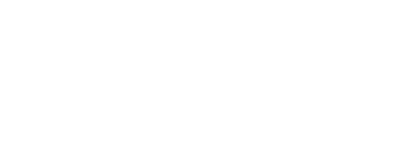 Tanefer Experience